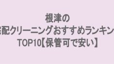 根津でおすすめの宅配クリーニング